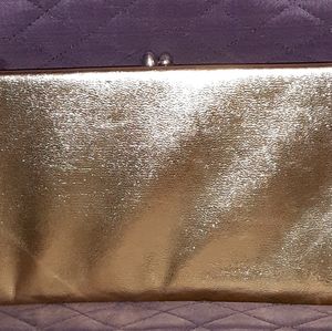 Vintage Purse/Clutch